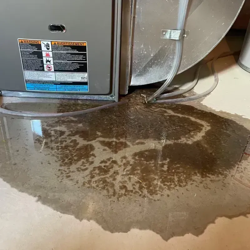 Appliance Leak Cleanup in Manchester, KY